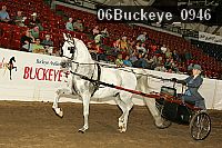 06buckeye_0946 proof