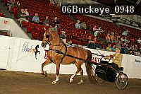 06buckeye_0948 proof