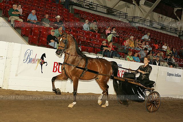 Proof 06buckeye_0949