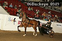 06buckeye_0949 proof