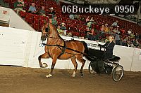 06buckeye_0950 proof