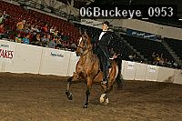 06buckeye_0953 proof