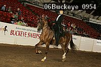 06buckeye_0954 proof