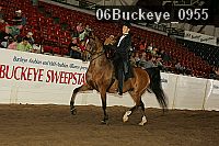 06buckeye_0955 proof