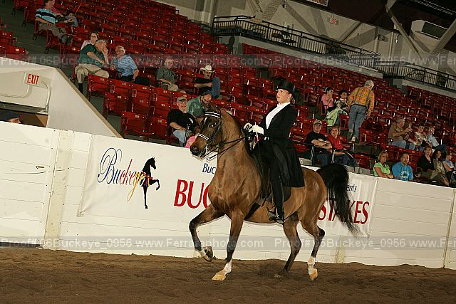 Proof 06buckeye_0956
