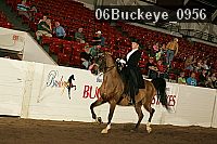 06buckeye_0956 proof