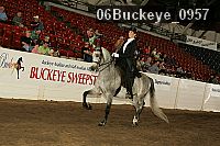 06buckeye_0957 proof