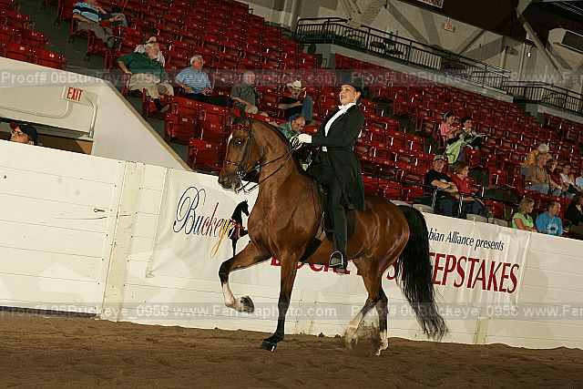 Proof 06buckeye_0958