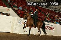 06buckeye_0958 proof