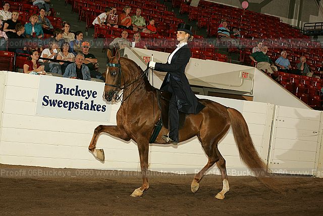 Proof 06buckeye_0960