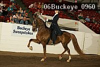 06buckeye_0960 proof