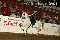 06buckeye_0961 proof