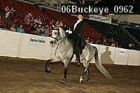 06buckeye_0962 proof