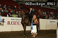 06buckeye_0963 proof