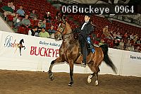 06buckeye_0964 proof
