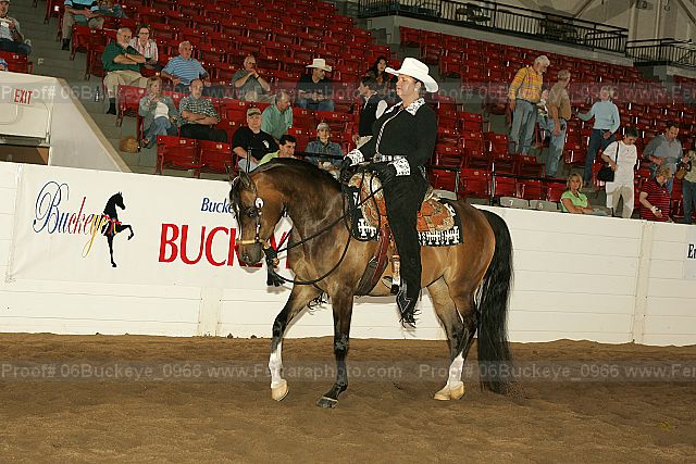 Proof 06buckeye_0966