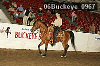 06buckeye_0967 proof