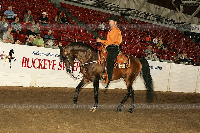 Proof 06buckeye_0969