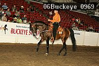06buckeye_0969 proof