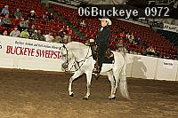 06buckeye_0972 proof