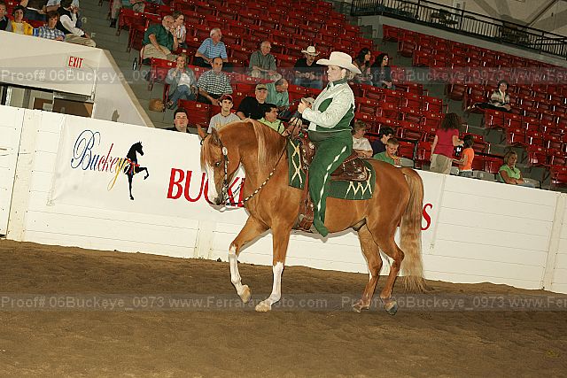 Proof 06buckeye_0973