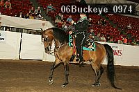 06buckeye_0974 proof