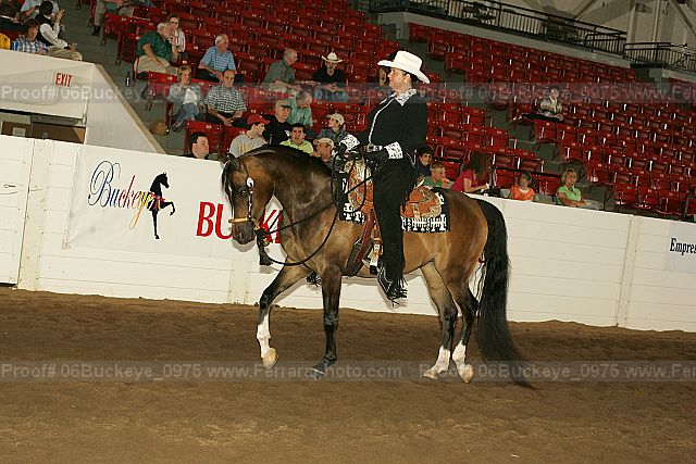 Proof 06buckeye_0975