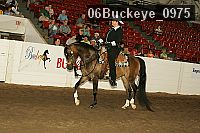 06buckeye_0975 proof