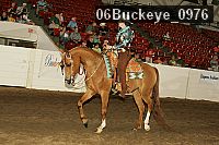06buckeye_0976 proof