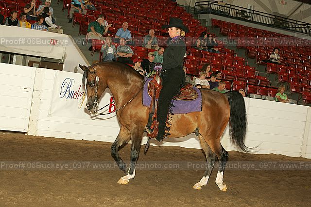Proof 06buckeye_0977