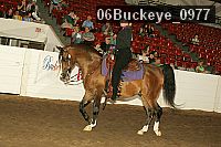 06buckeye_0977 proof
