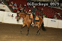 06buckeye_0979 proof