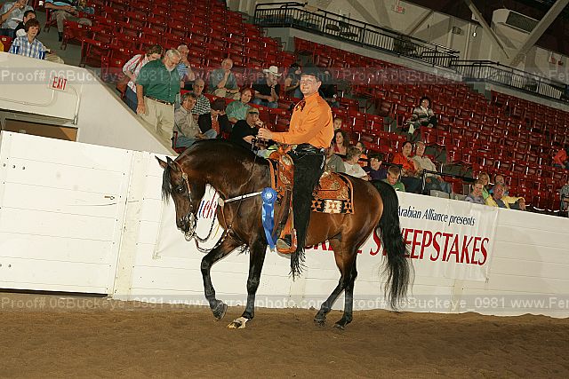 Proof 06buckeye_0981
