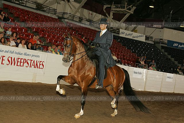 Proof 06buckeye_0983