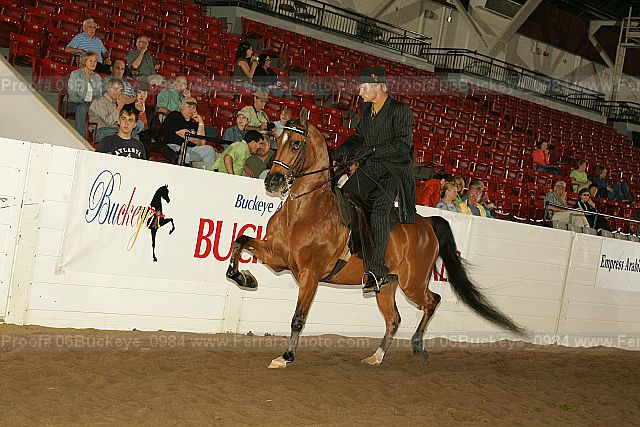 Proof 06buckeye_0984