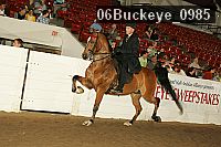 06buckeye_0985 proof