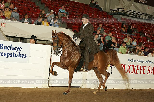 Proof 06buckeye_0986