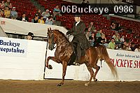 06buckeye_0986 proof