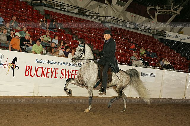 Proof 06buckeye_0987