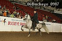 06buckeye_0987 proof