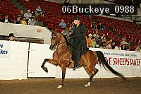 06buckeye_0988 proof