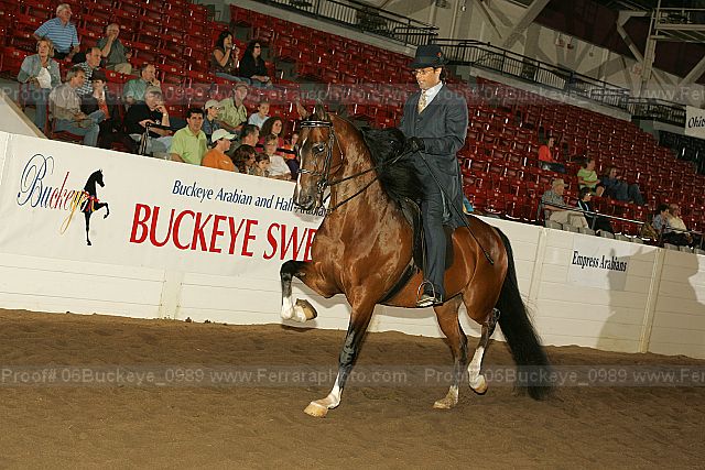 Proof 06buckeye_0989