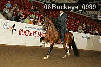 06buckeye_0989 proof