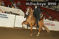 06buckeye_0990 proof