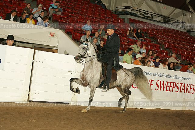 Proof 06buckeye_0991