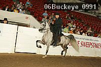 06buckeye_0991 proof