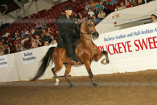 Proof 06buckeye_0993