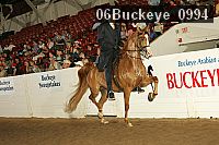 06buckeye_0994 proof