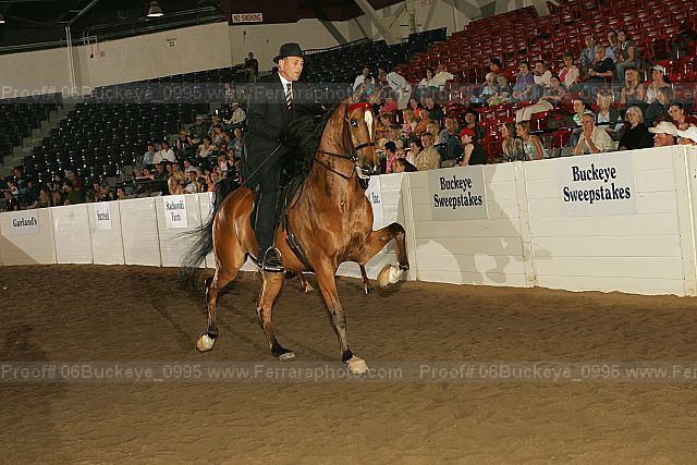 Proof 06buckeye_0995