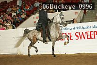 06buckeye_0996 proof